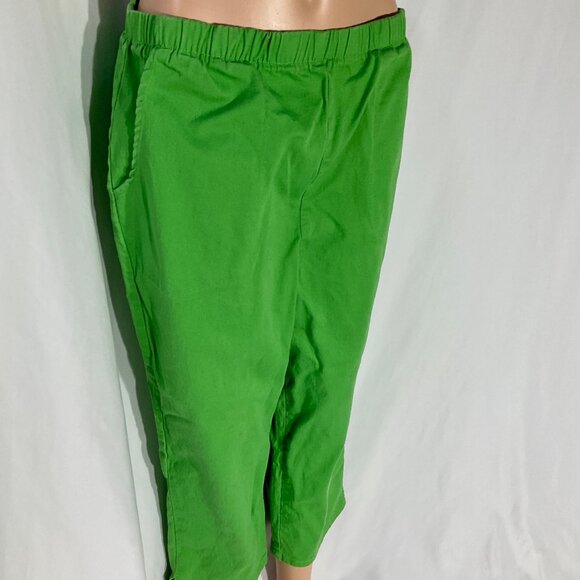 Green Sz Med D&Co Crop/Capri Pants - Picture 1 of 10